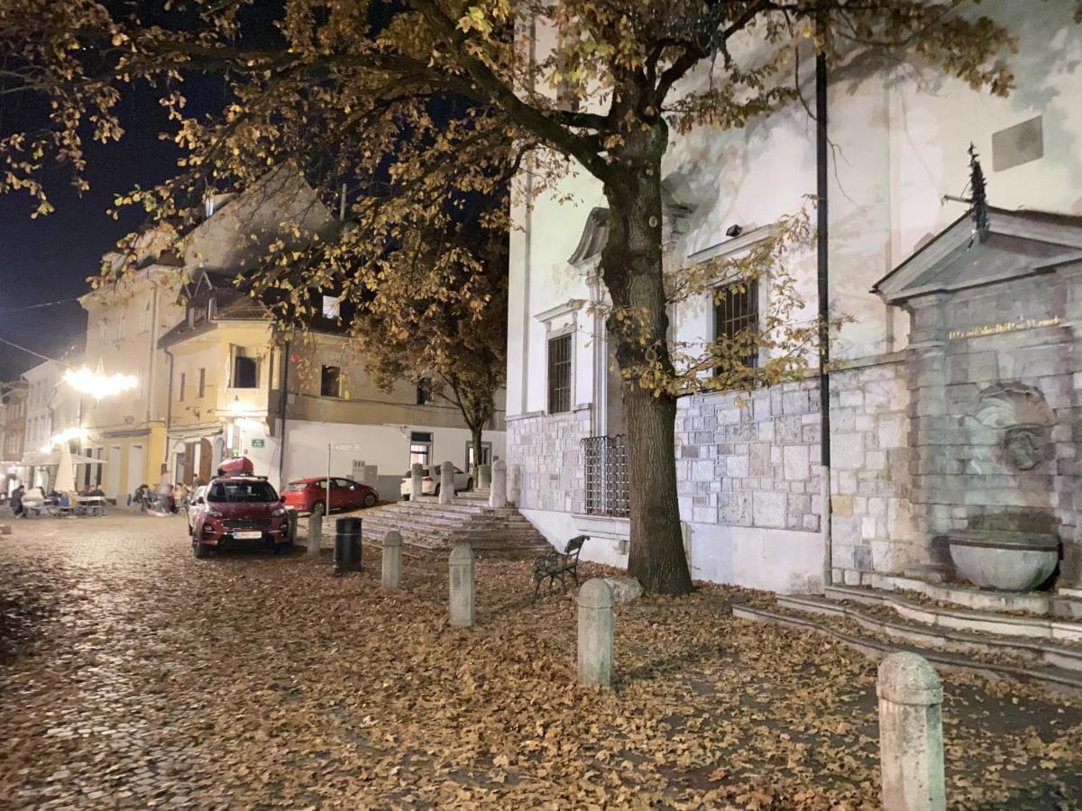 Villa Pod Gradom Ljubljana Exterior foto